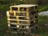 Click For Larger Image InsectTower.jpg