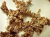 Click For Larger Image RecycledPaperSculptures.jpg